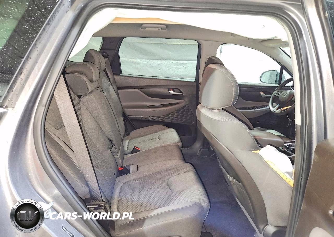 2020 Hyundai Santa Fe Sel VIN:5NMS3CAD1LH153820 - 11