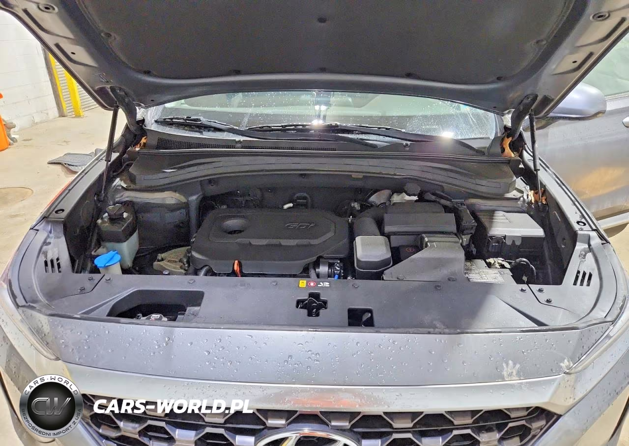 2020 Hyundai Santa Fe Sel VIN:5NMS3CAD1LH153820 - 12