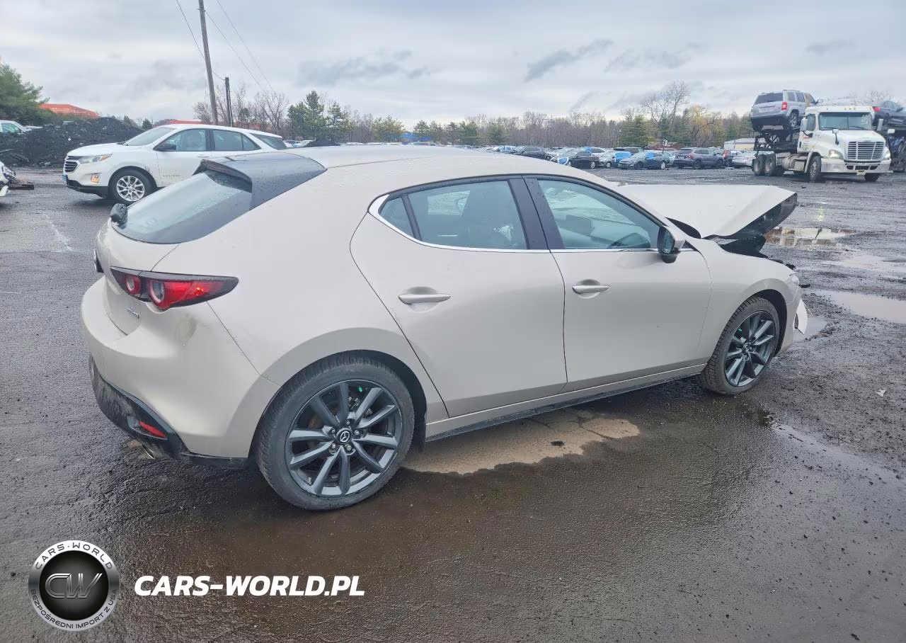 2023 Mazda 3 Preferred VIN:JM1BPALM7P1601189 - 3