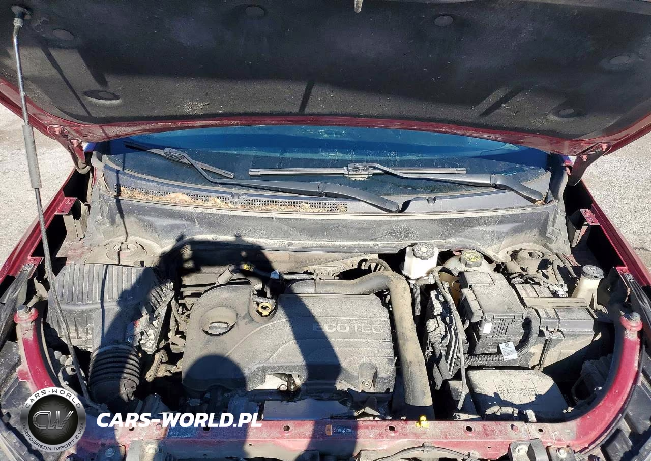 2019 Chevrolet Equinox Lt VIN:2GNAXUEV8K6218698 - 12