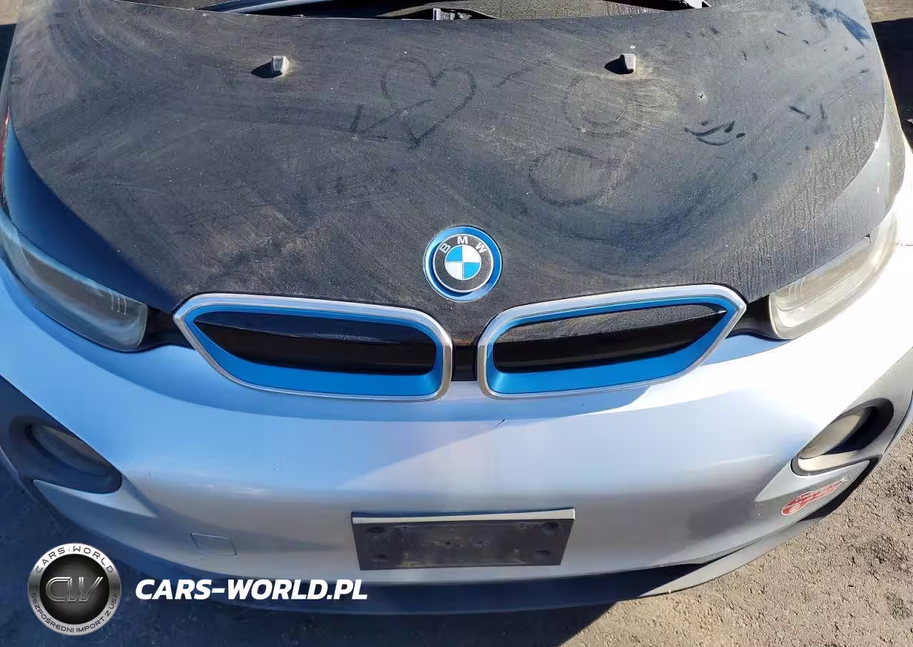 2015 BMW I3 Rex VIN:WBY1Z4C52FV501247 - 11