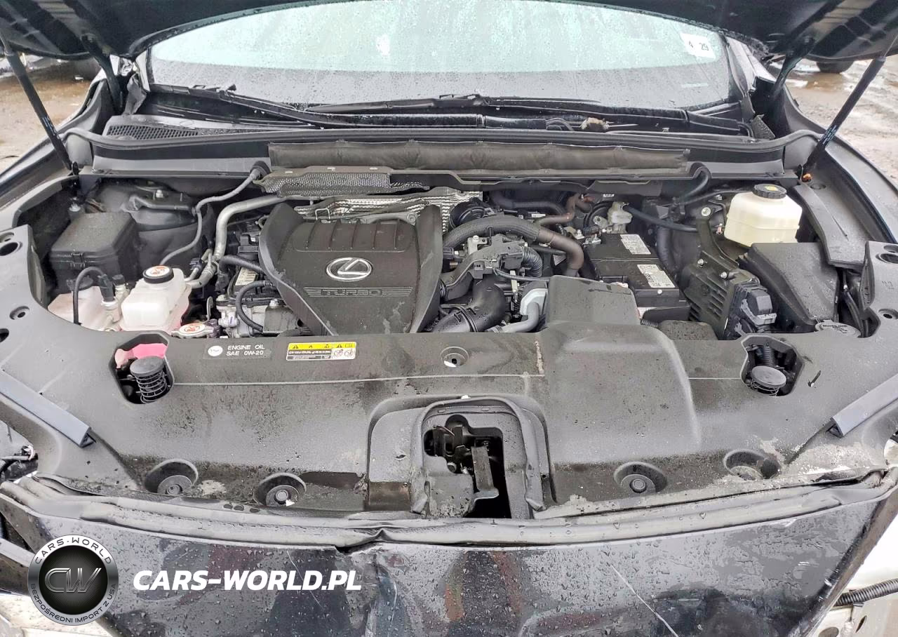 2024 Lexus Rx 350 Premium VIN:2T2BAMCA9RC065171 - 12