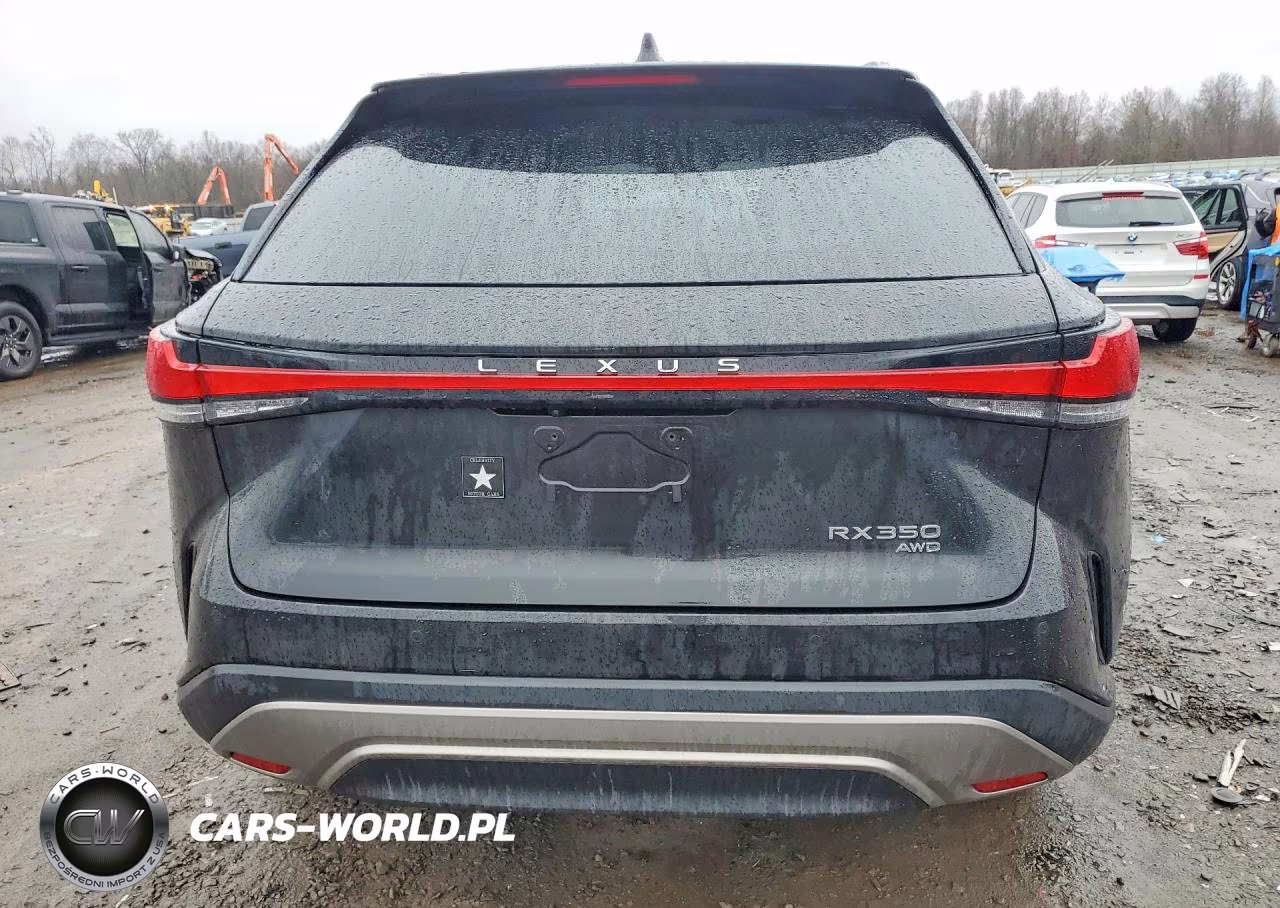 2024 Lexus Rx 350 Premium VIN:2T2BAMCA9RC065171 - 6