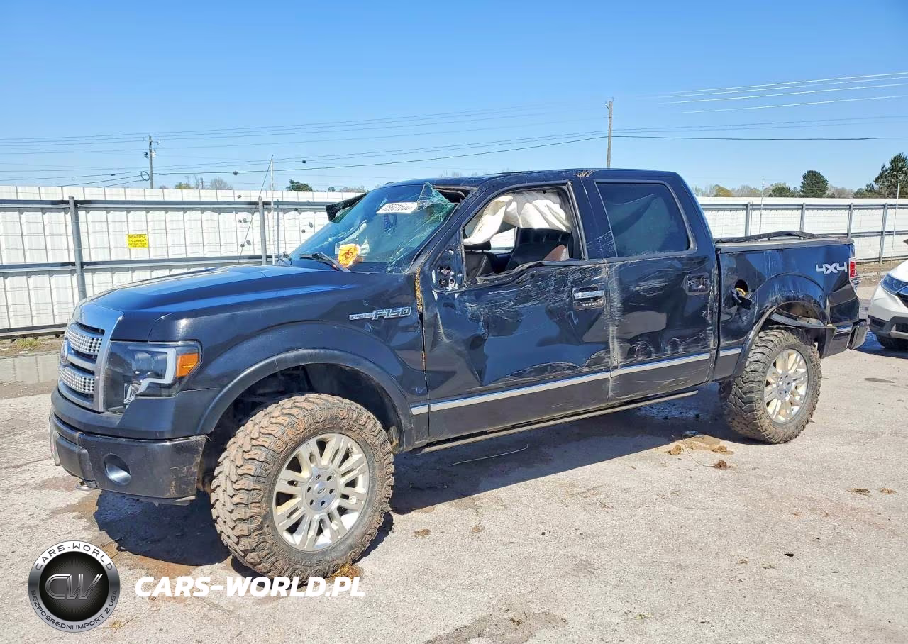 2010 Ford F150 Supercrew VIN:1FTFW1EV4AFA07681 - 1