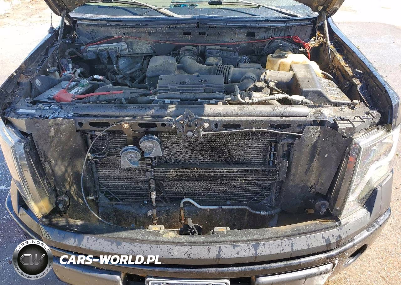 2010 Ford F150 Supercrew VIN:1FTFW1EV4AFA07681 - 11