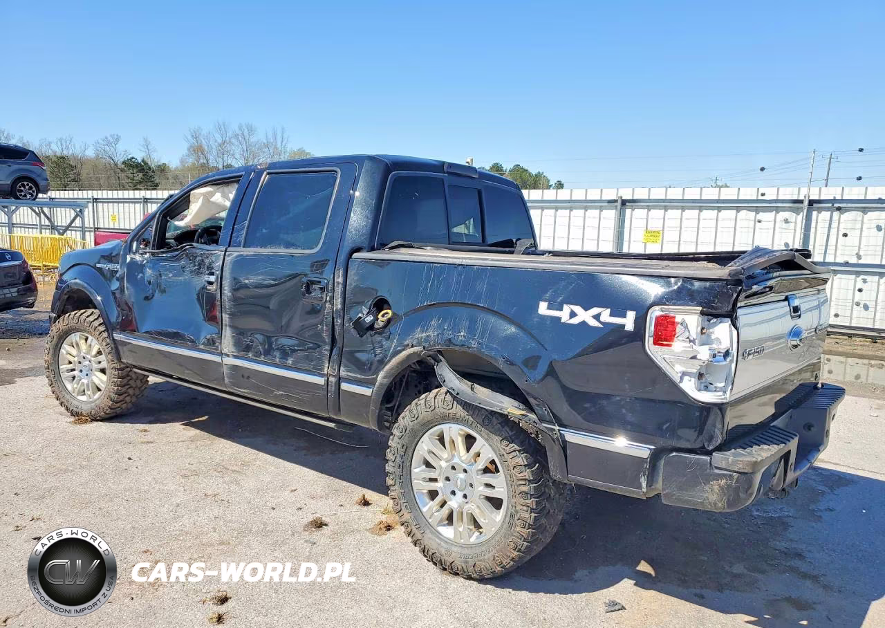 2010 Ford F150 Supercrew VIN:1FTFW1EV4AFA07681 - 2