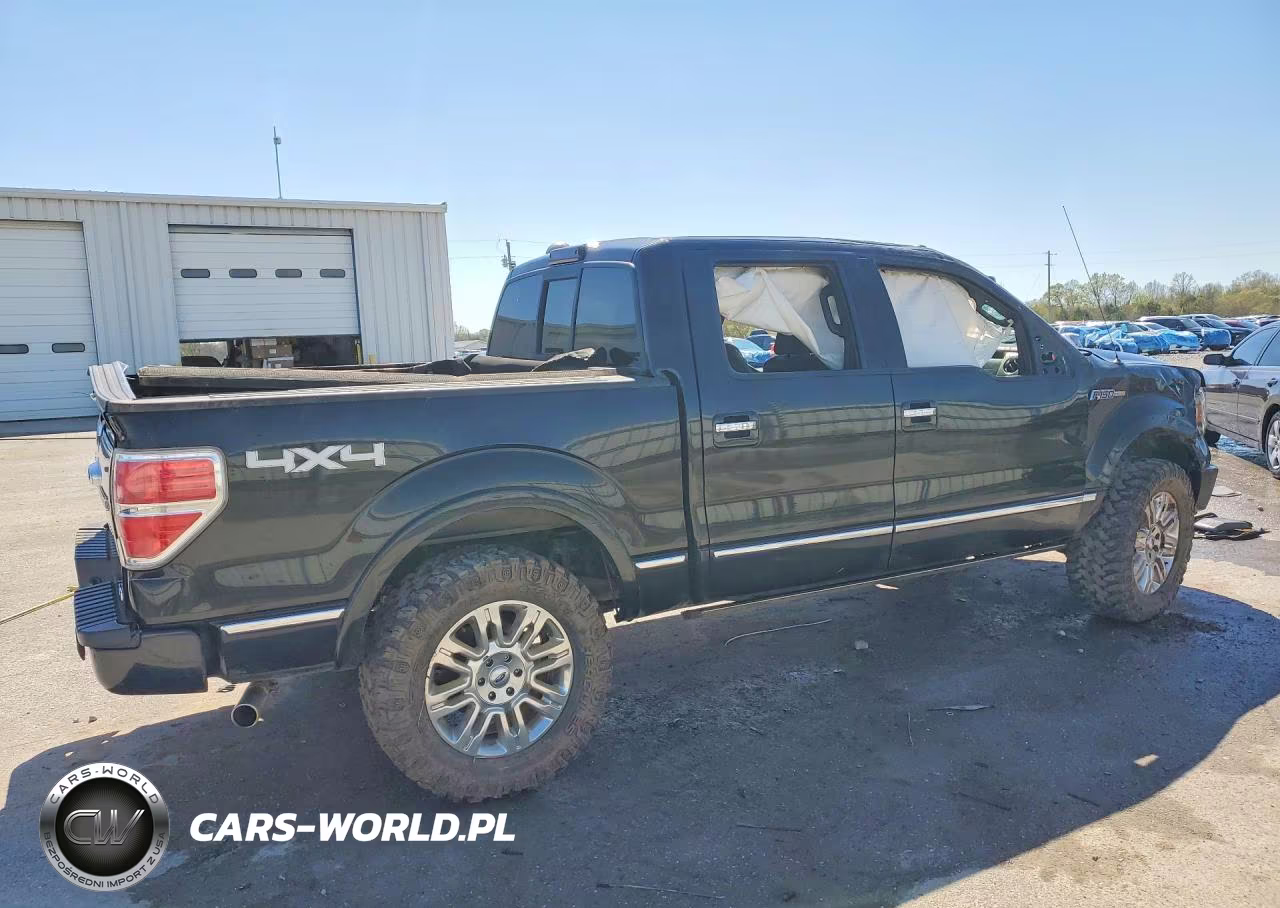 2010 Ford F150 Supercrew VIN:1FTFW1EV4AFA07681 - 3