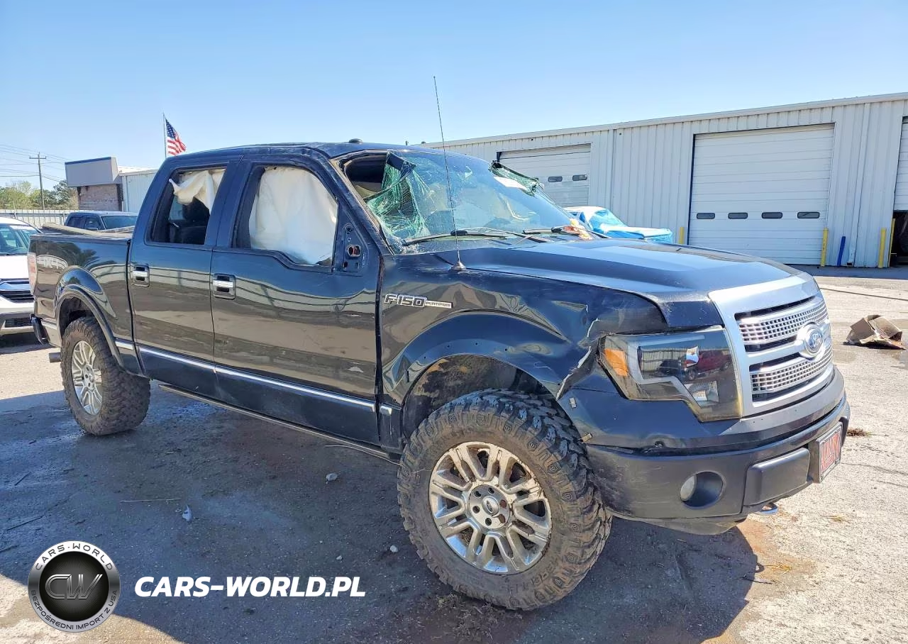 2010 Ford F150 Supercrew VIN:1FTFW1EV4AFA07681 - 4