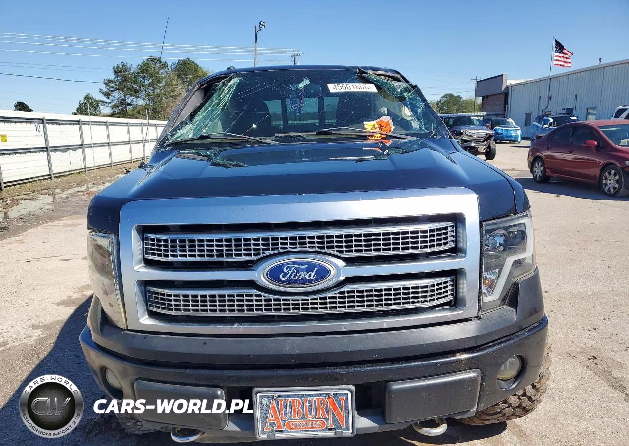 2010 Ford F150 Supercrew VIN:1FTFW1EV4AFA07681 - 5