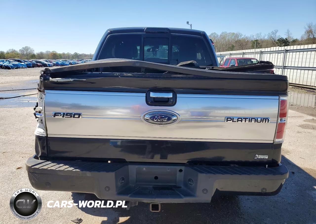 2010 Ford F150 Supercrew VIN:1FTFW1EV4AFA07681 - 6