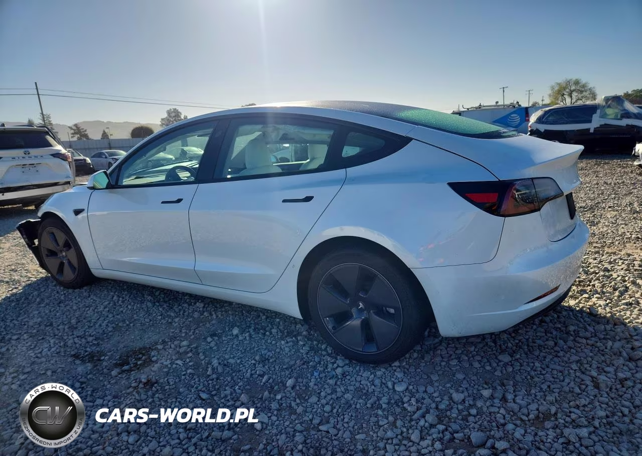 2023 Tesla Model 3 VIN:5YJ3E1EA7PF581305 - 2