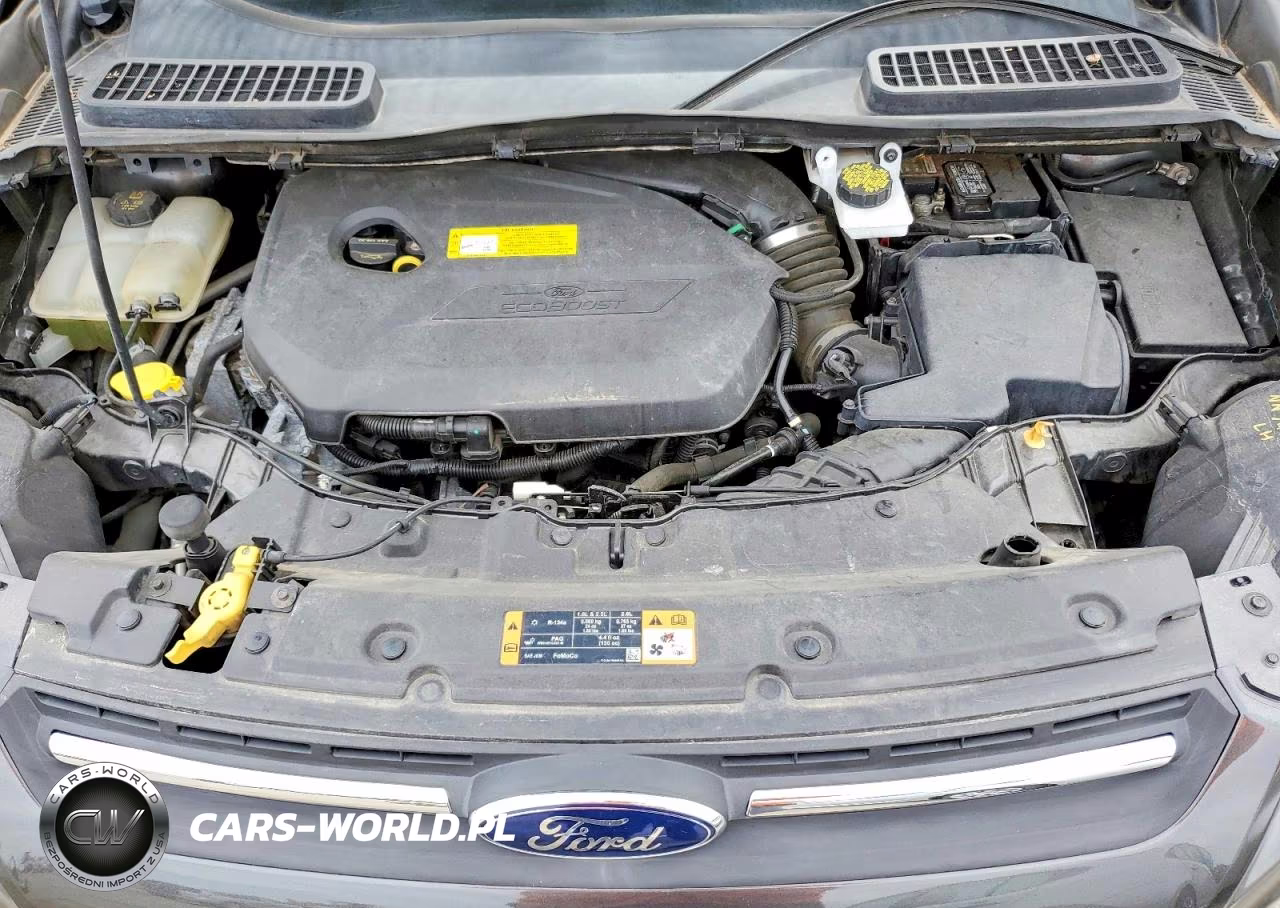 2016 Ford Escape Se VIN:1FMCU0GX6GUB24325 - 12