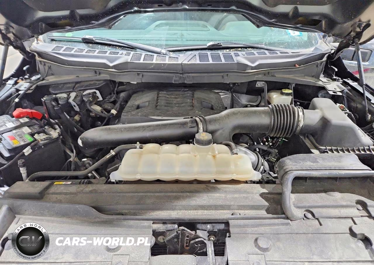 2021 Ford F150 Supercrew VIN:1FTFW1E89MFB05782 - 11