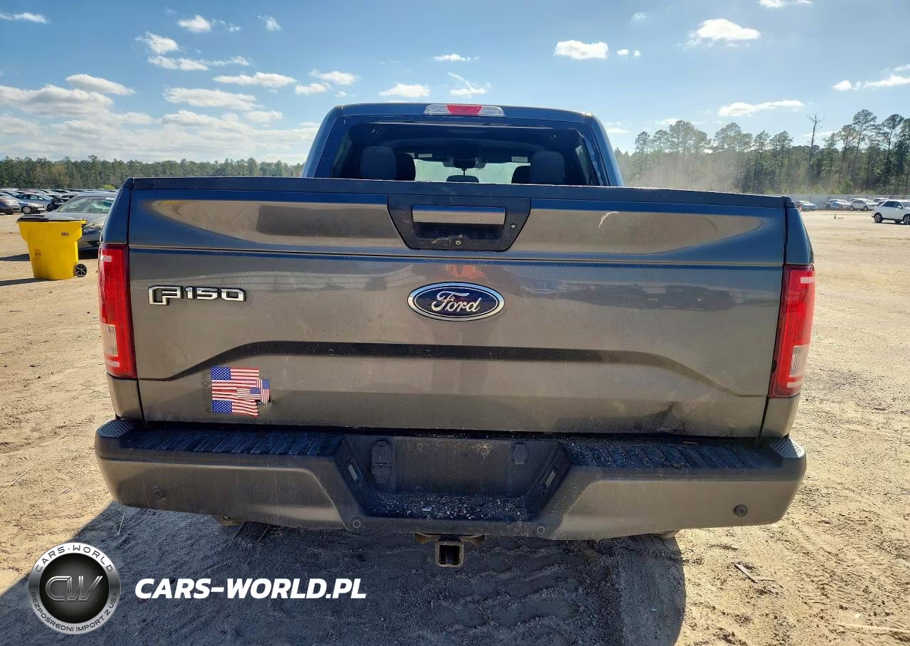 2016 Ford F150 Supercrew VIN:1FTEW1EG7GFD49180 - 6