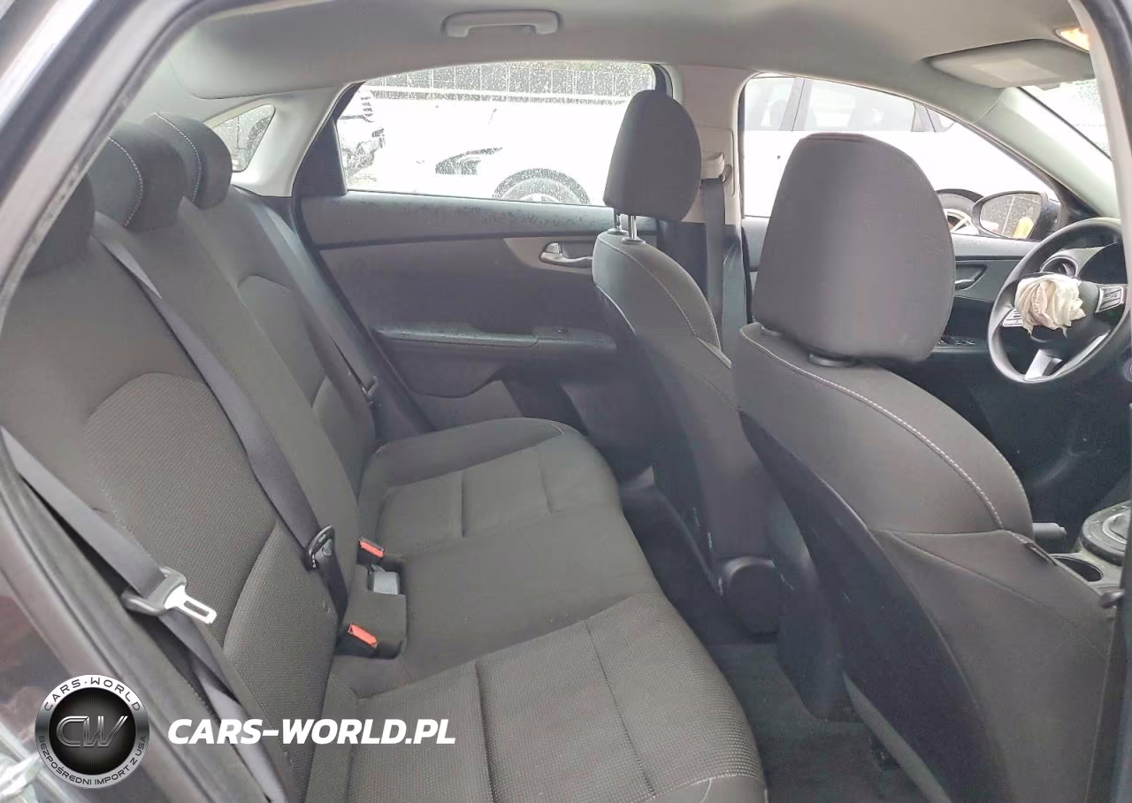 2019 Kia Forte Fe VIN:3KPF24AD7KE095440 - 10