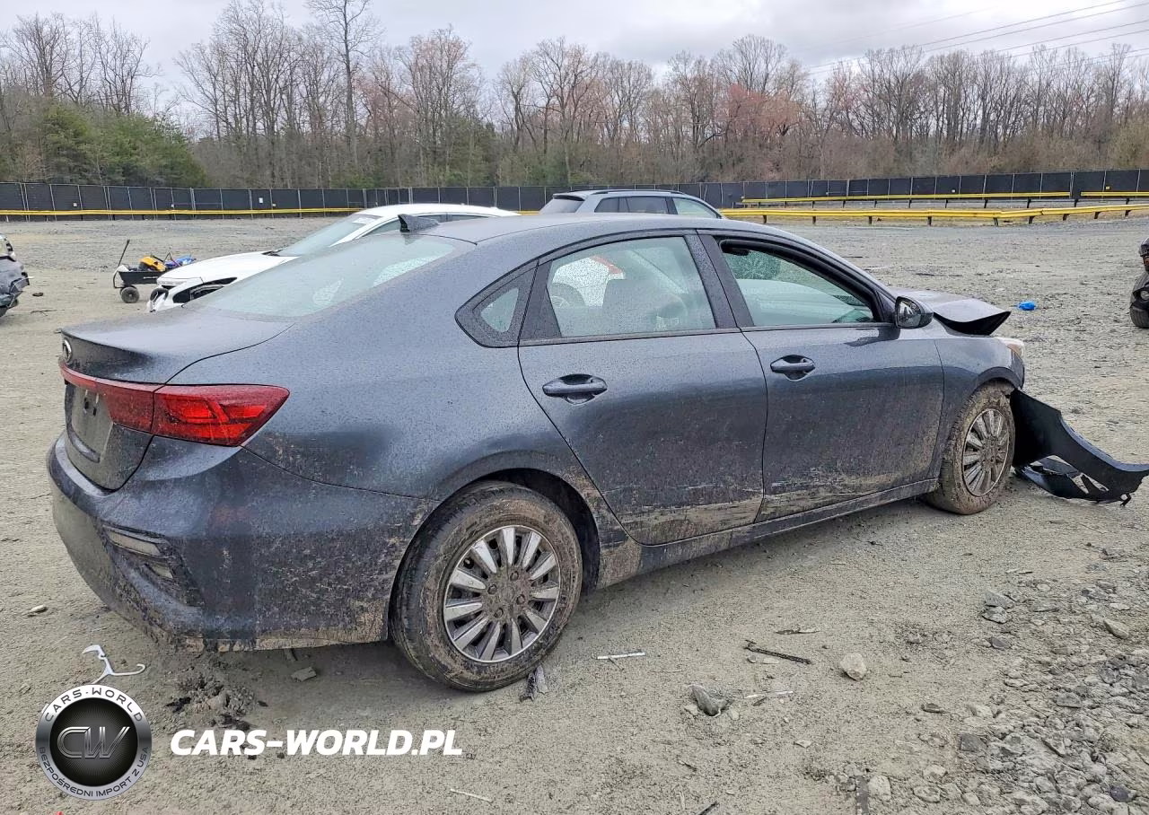 2019 Kia Forte Fe VIN:3KPF24AD7KE095440 - 3