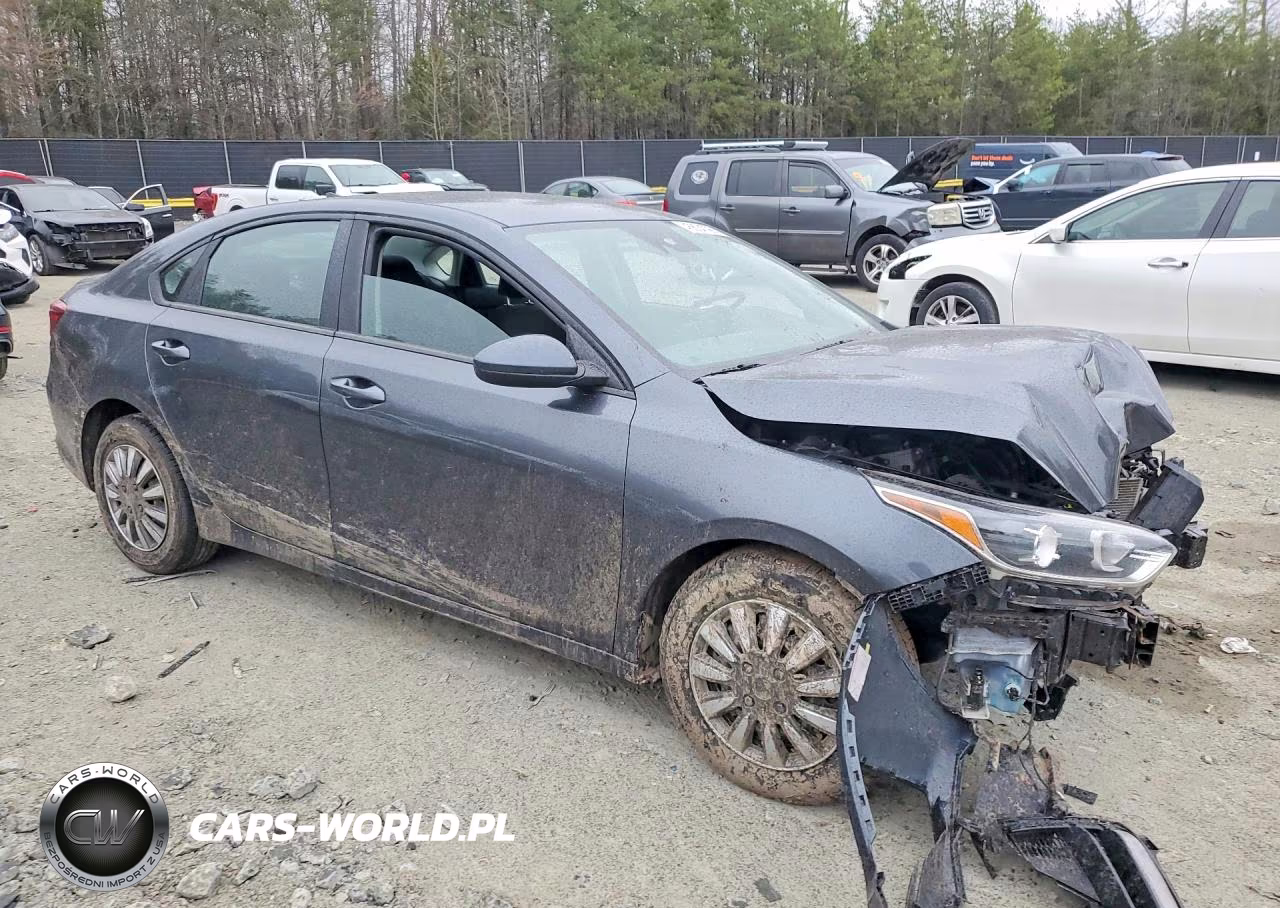 2019 Kia Forte Fe VIN:3KPF24AD7KE095440 - 4