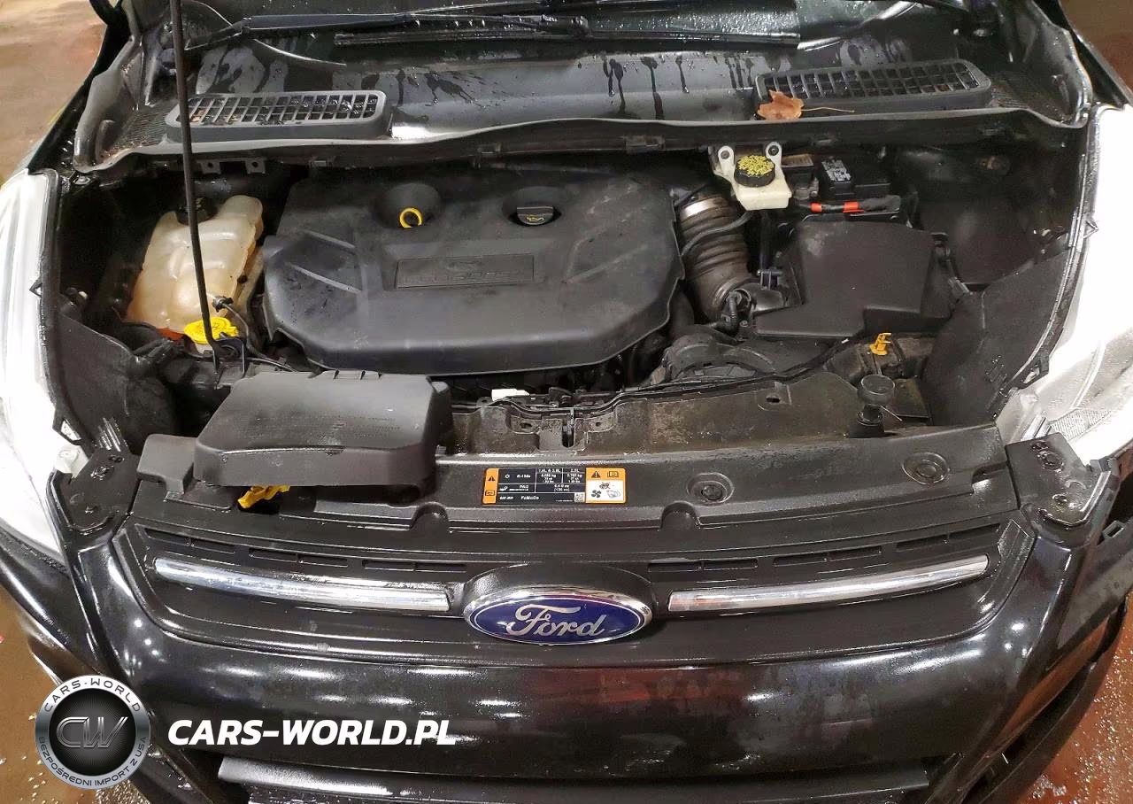 2019 Ford Escape Se VIN:1FMCU9GD0KUA97187 - 12