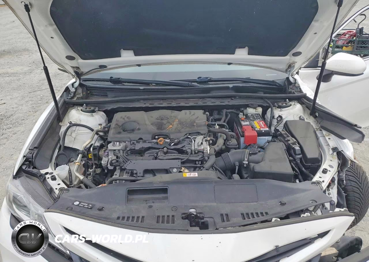 2020 Toyota Camry Se VIN:4T1G11AK0LU324494 - 11