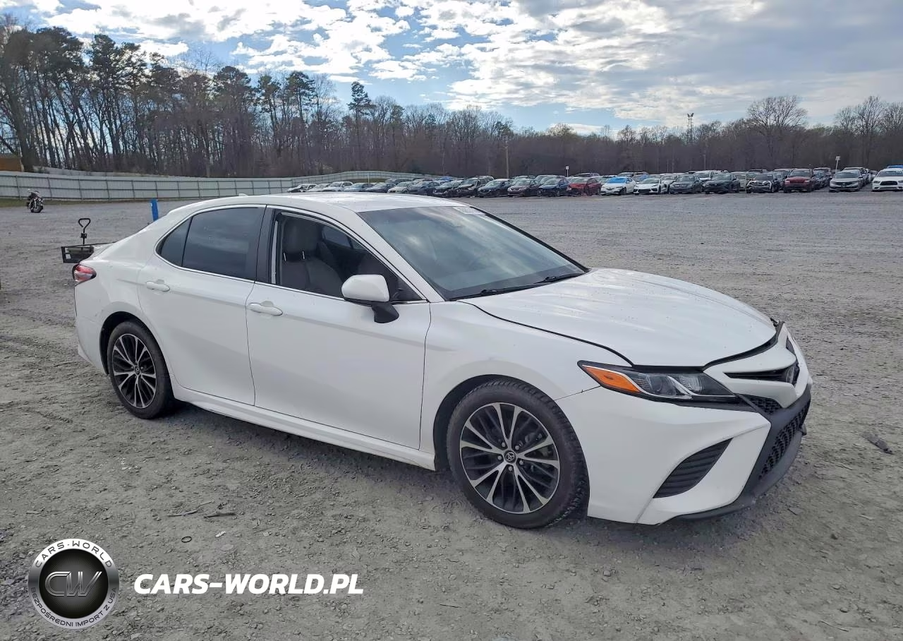 2020 Toyota Camry Se VIN:4T1G11AK0LU324494 - 4