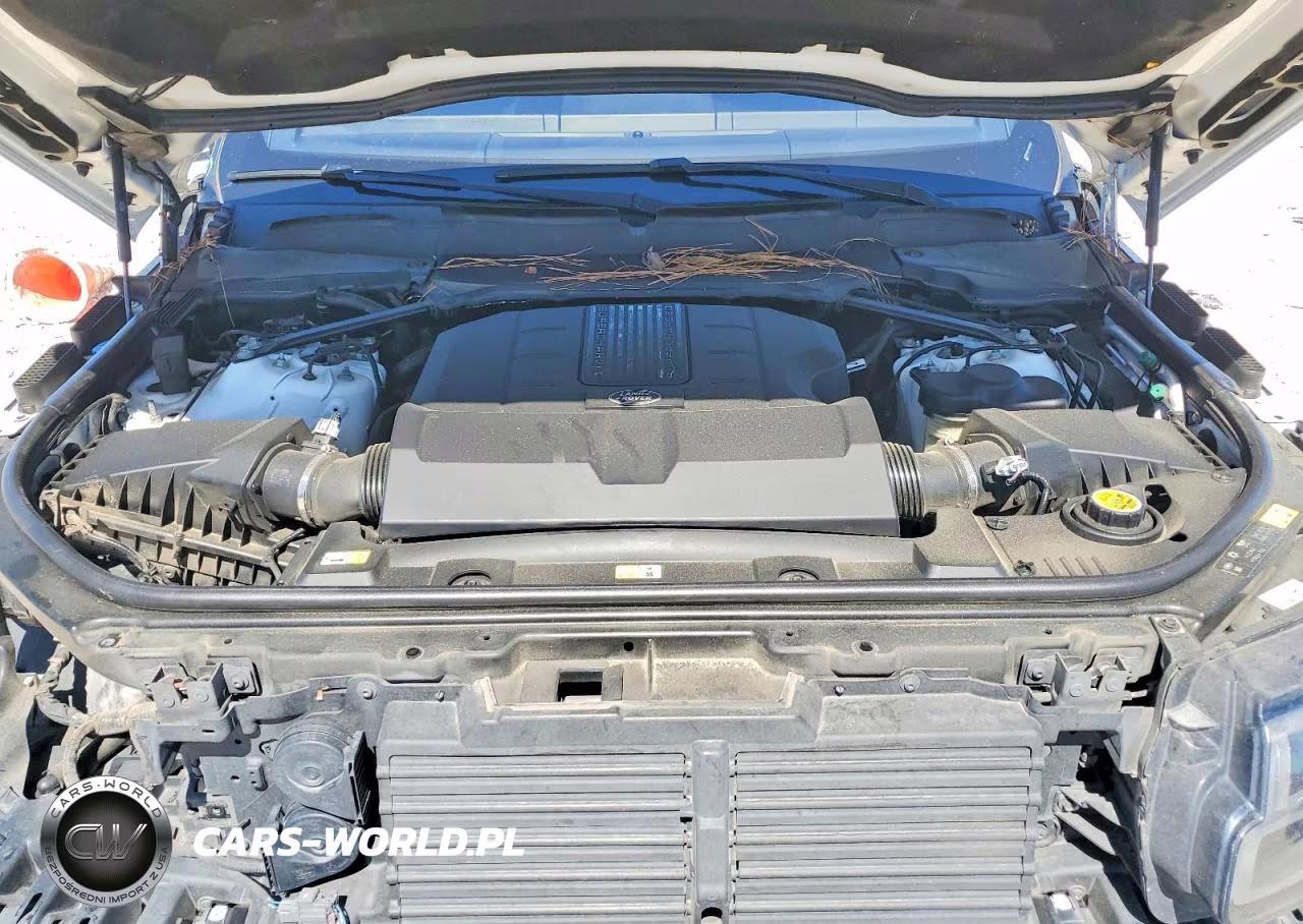 2019 Land Rover Range Rover Supercharged VIN:SALGS5RE1KA539561 - 12