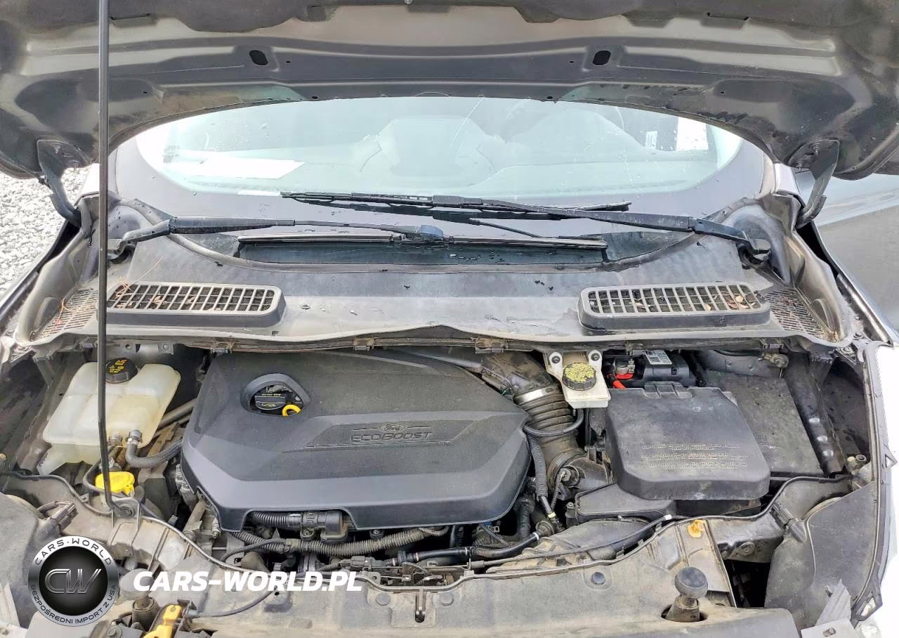 2014 Ford Escape Se VIN:1FMCU9GX0EUD09553 - 12