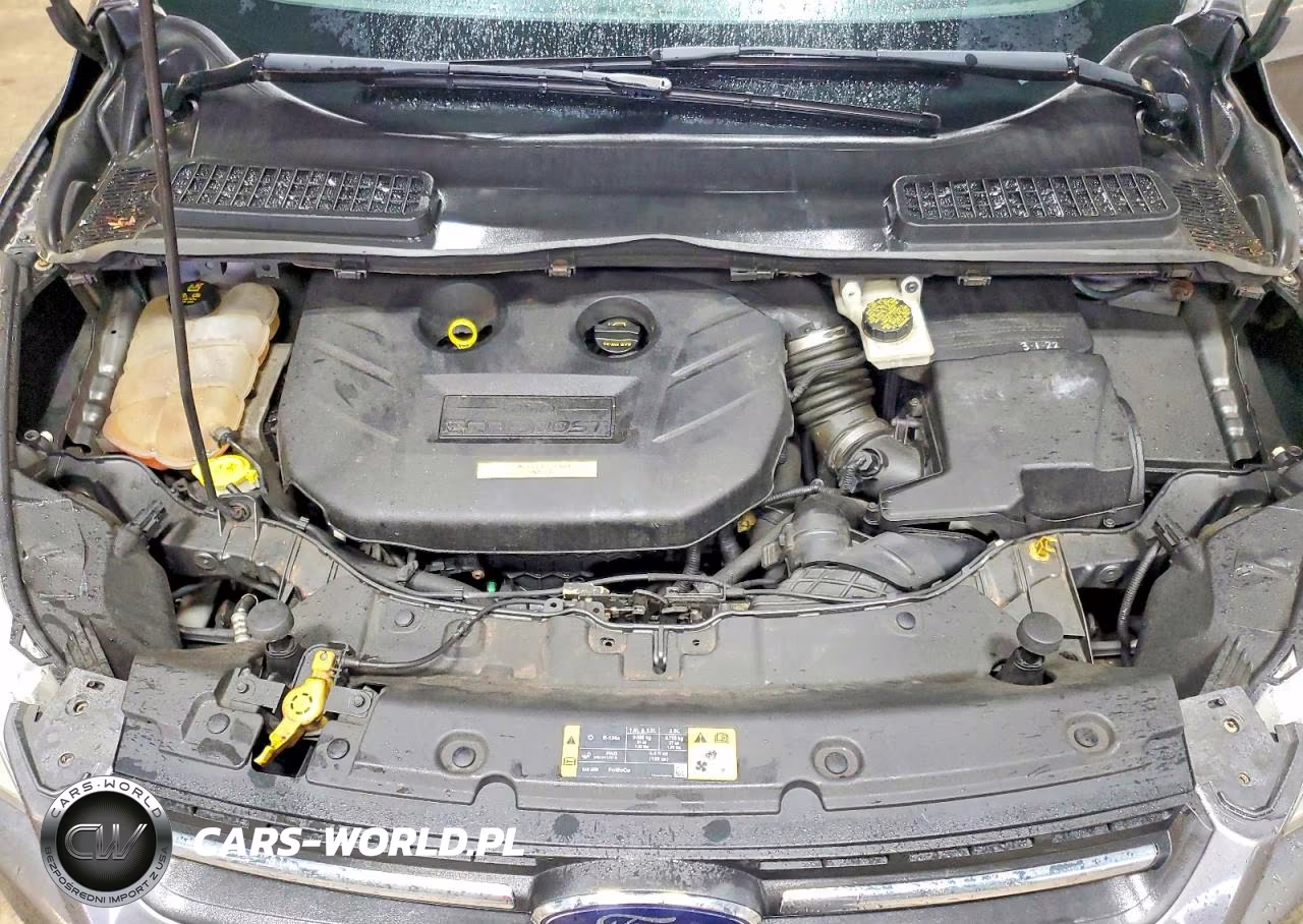 2014 Ford Escape Se VIN:1FMCU9G95EUB73700 - 12
