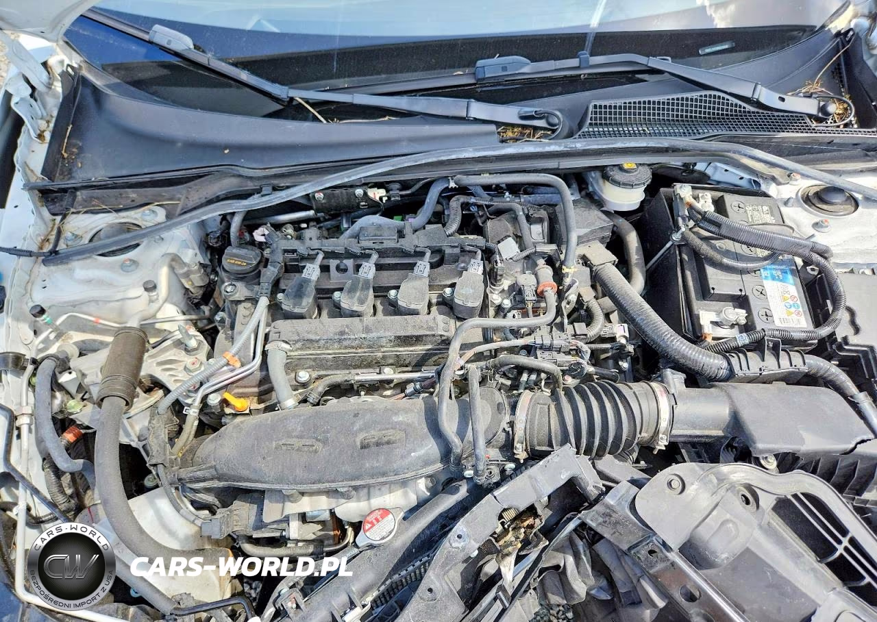 2024 Honda Civic Exl VIN:19XFL1H79RE019448 - 11