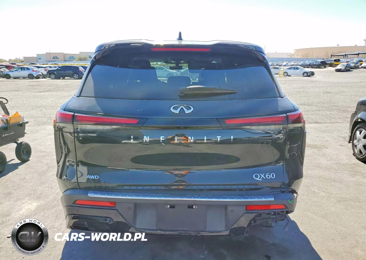 2024 Infiniti Qx60 Luxe VIN:5N1DL1FS5RC338220 - 6