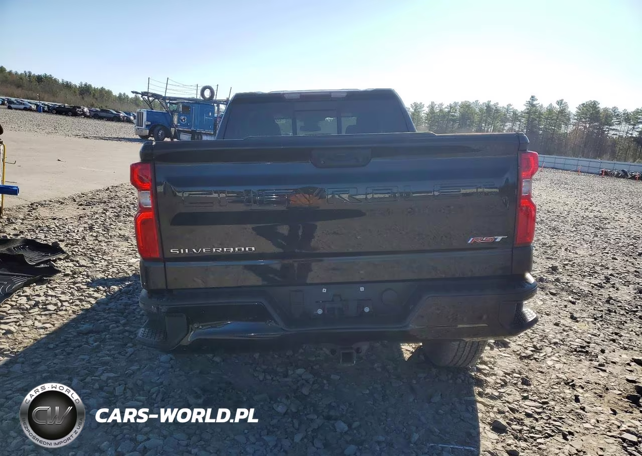2023 Chevrolet Silverado K1500 Rst VIN:1GCRDEED8PZ179933 - 6