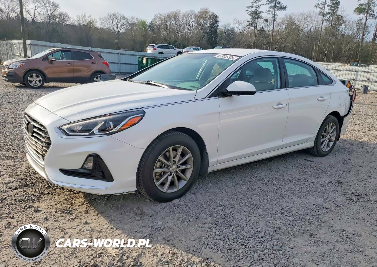 2019 Hyundai Sonata Se VIN:5NPE24AF3KH814918 - 1