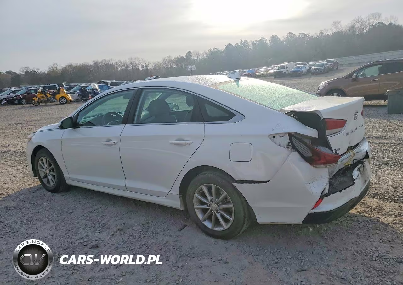 2019 Hyundai Sonata Se VIN:5NPE24AF3KH814918 - 2