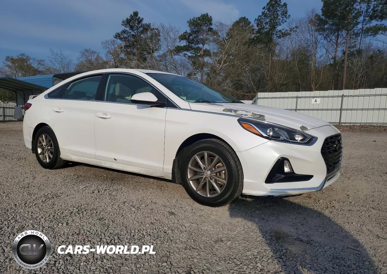 2019 Hyundai Sonata Se VIN:5NPE24AF3KH814918 - 4