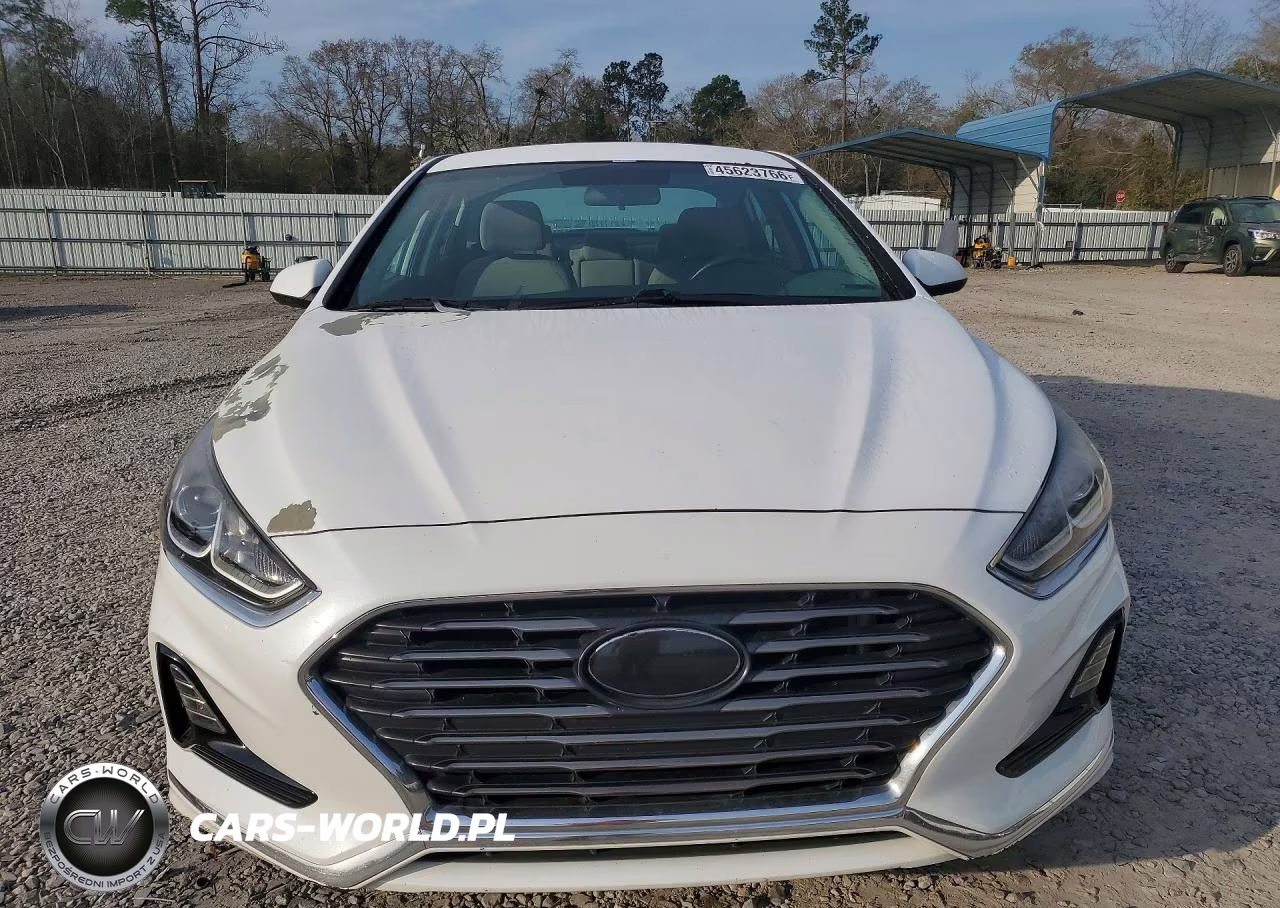 2019 Hyundai Sonata Se VIN:5NPE24AF3KH814918 - 5