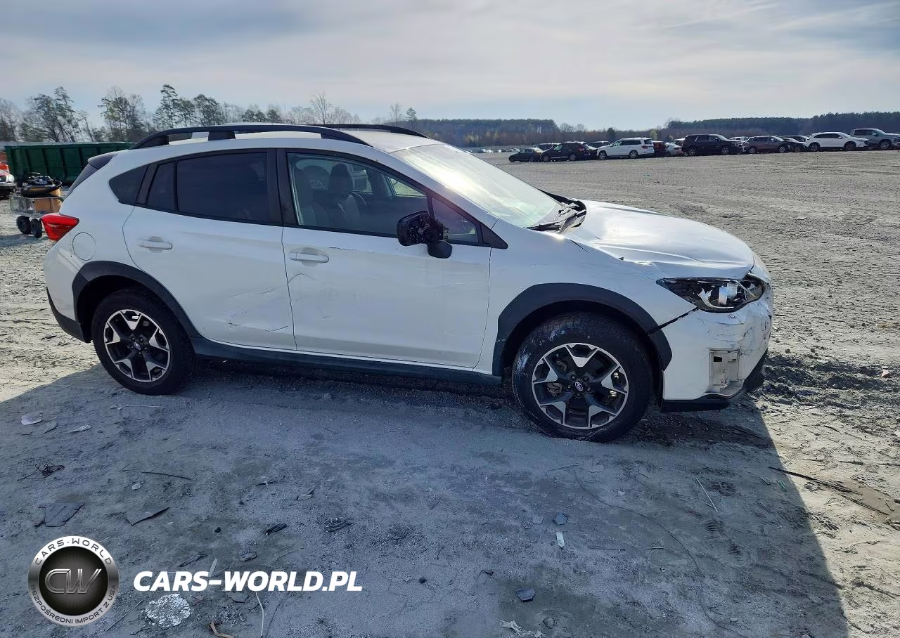 2019 Subaru Crosstrek Premium VIN:JF2GTACC0KH264097 - 4