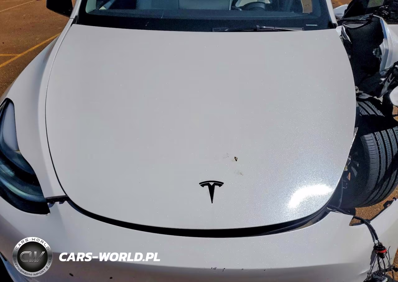 2025 Tesla Model Y VIN:7SAYGDEF6SA378086 - 11