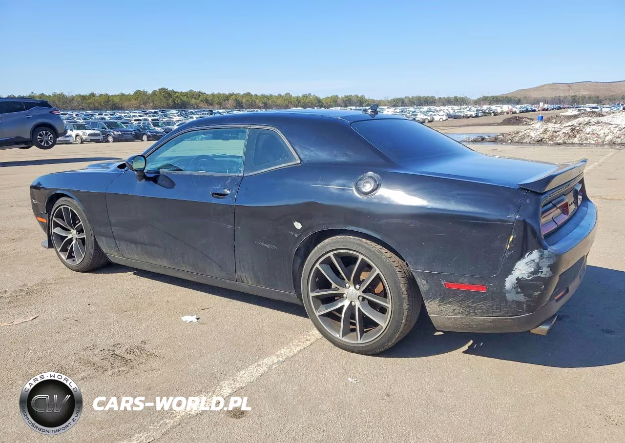 2016 Dodge Challenger R VIN:2C3CDZBTXGH226375 - 2