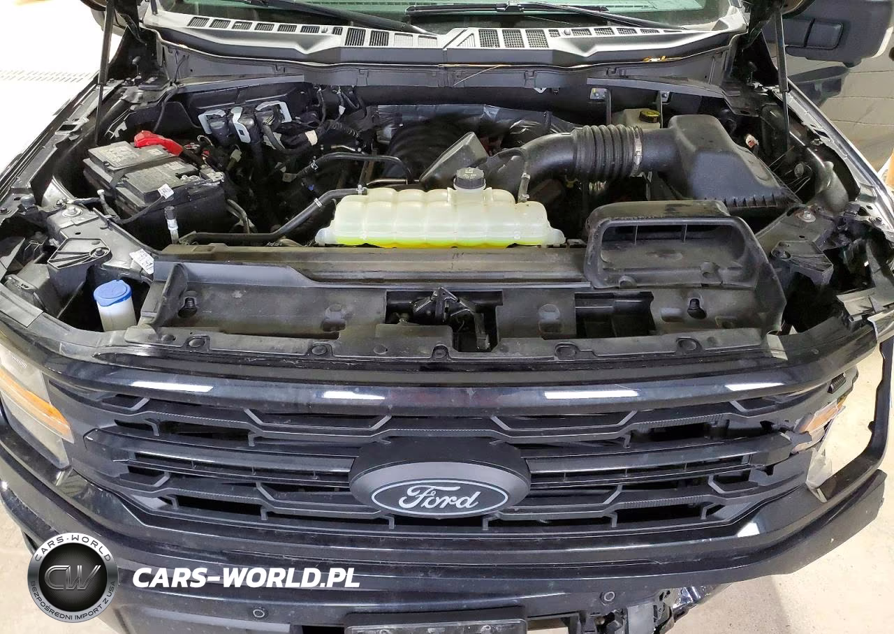 2025 Ford F150 Xlt VIN:1FTFW3L50SKE64205 - 11