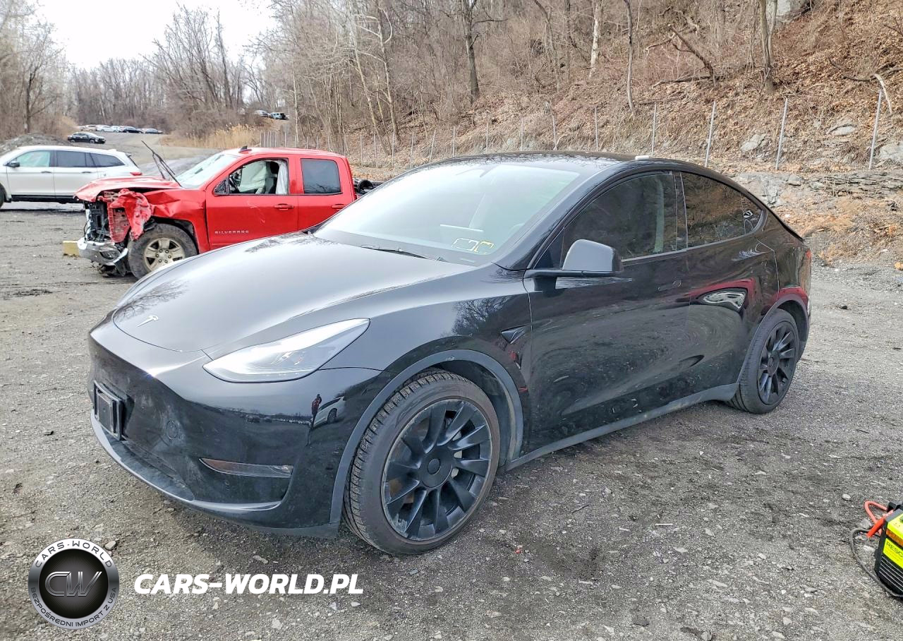 2025 Tesla Model Y