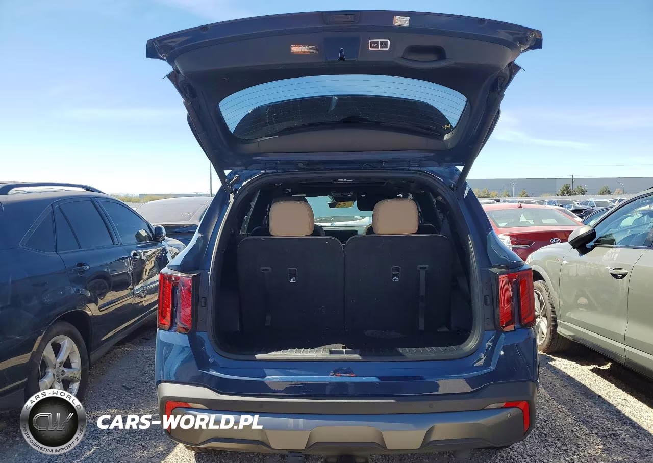 2024 Kia Sorento X-Line Sx Prestige VIN:5XYRKDJF7RG273696 - 6
