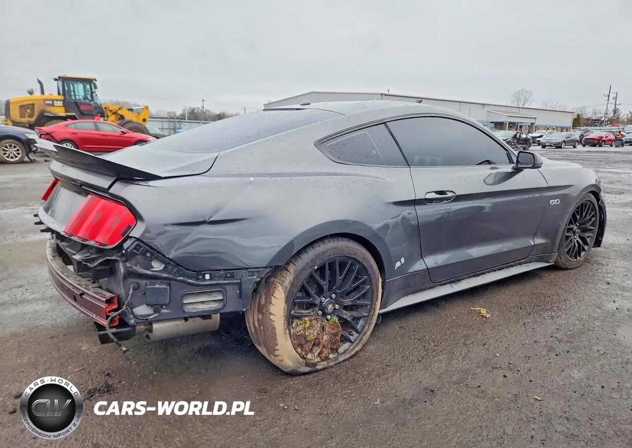 2015 Ford Mustang Gt VIN:1FA6P8CF9F5385354 - 3