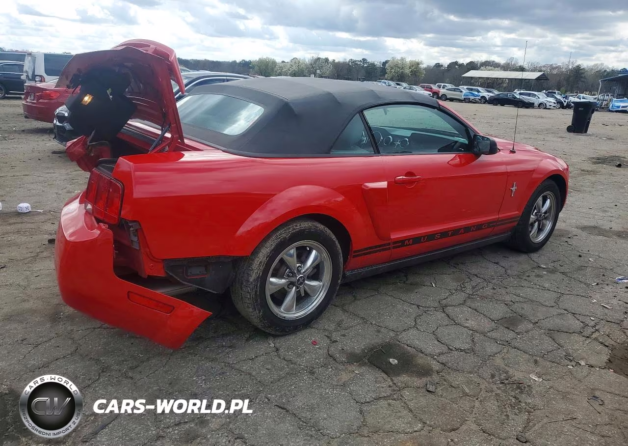 2005 Ford Mustang VIN:1ZVFT84N655170411 - 3