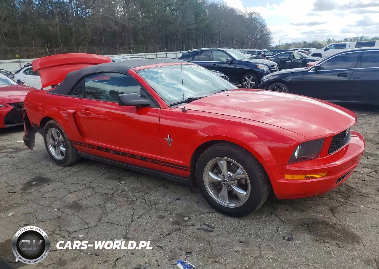 2005 Ford Mustang VIN:1ZVFT84N655170411 - 4