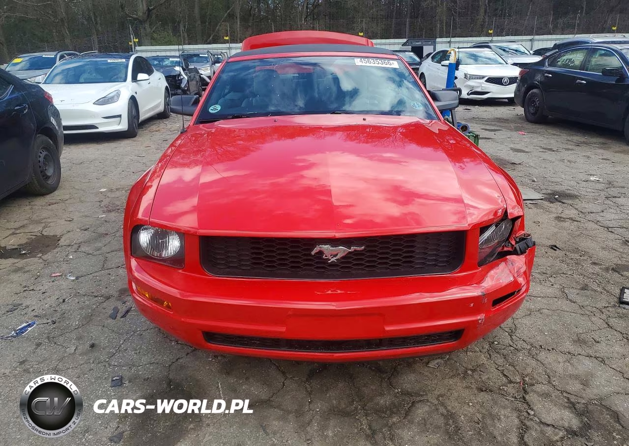 2005 Ford Mustang VIN:1ZVFT84N655170411 - 5