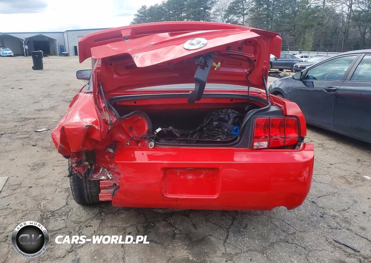 2005 Ford Mustang VIN:1ZVFT84N655170411 - 6