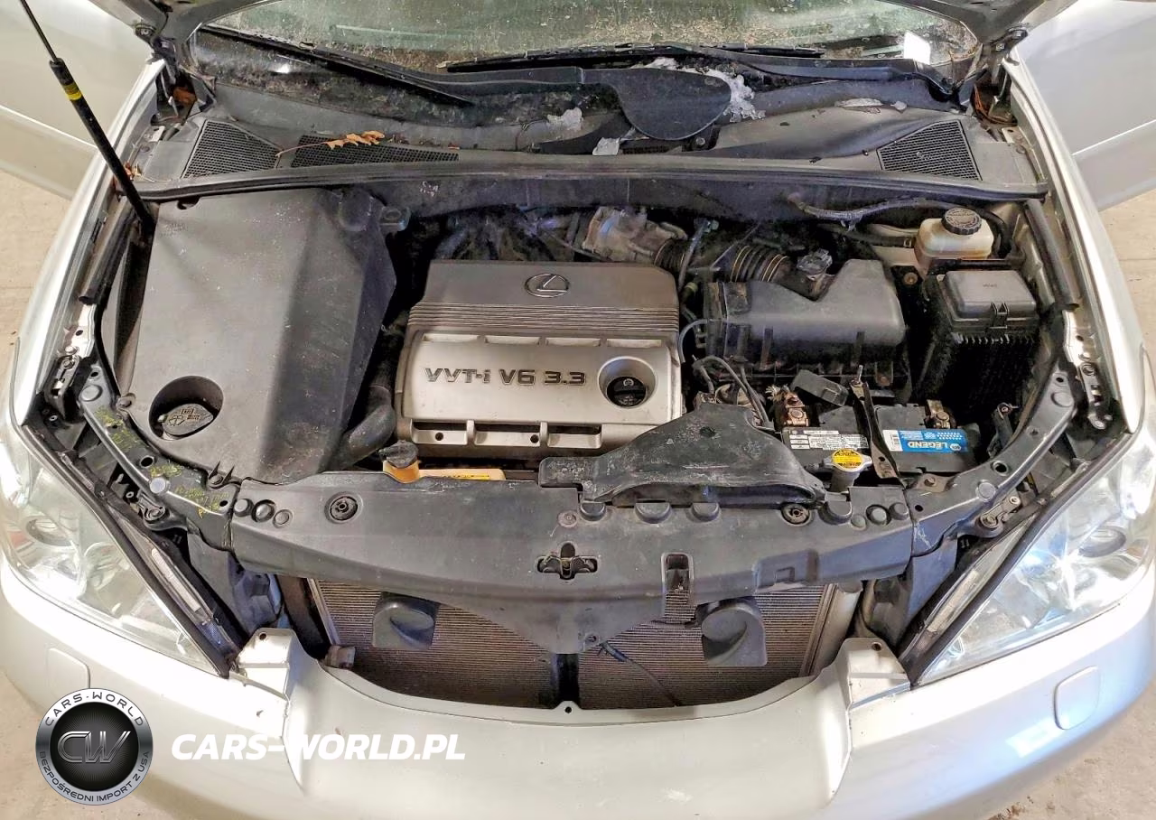 2004 Lexus Rx 330 Base VIN:JTJHA31UX40061569 - 12