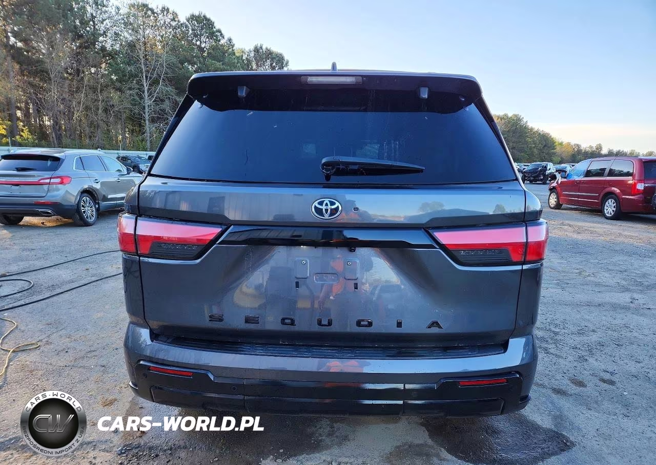 2023 Toyota Sequoia Platinum VIN:7SVAAAAA8PX001984 - 6