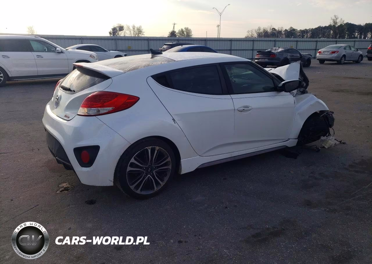 2016 Hyundai Veloster Turbo VIN:KMHTC6AE4GU297421 - 3
