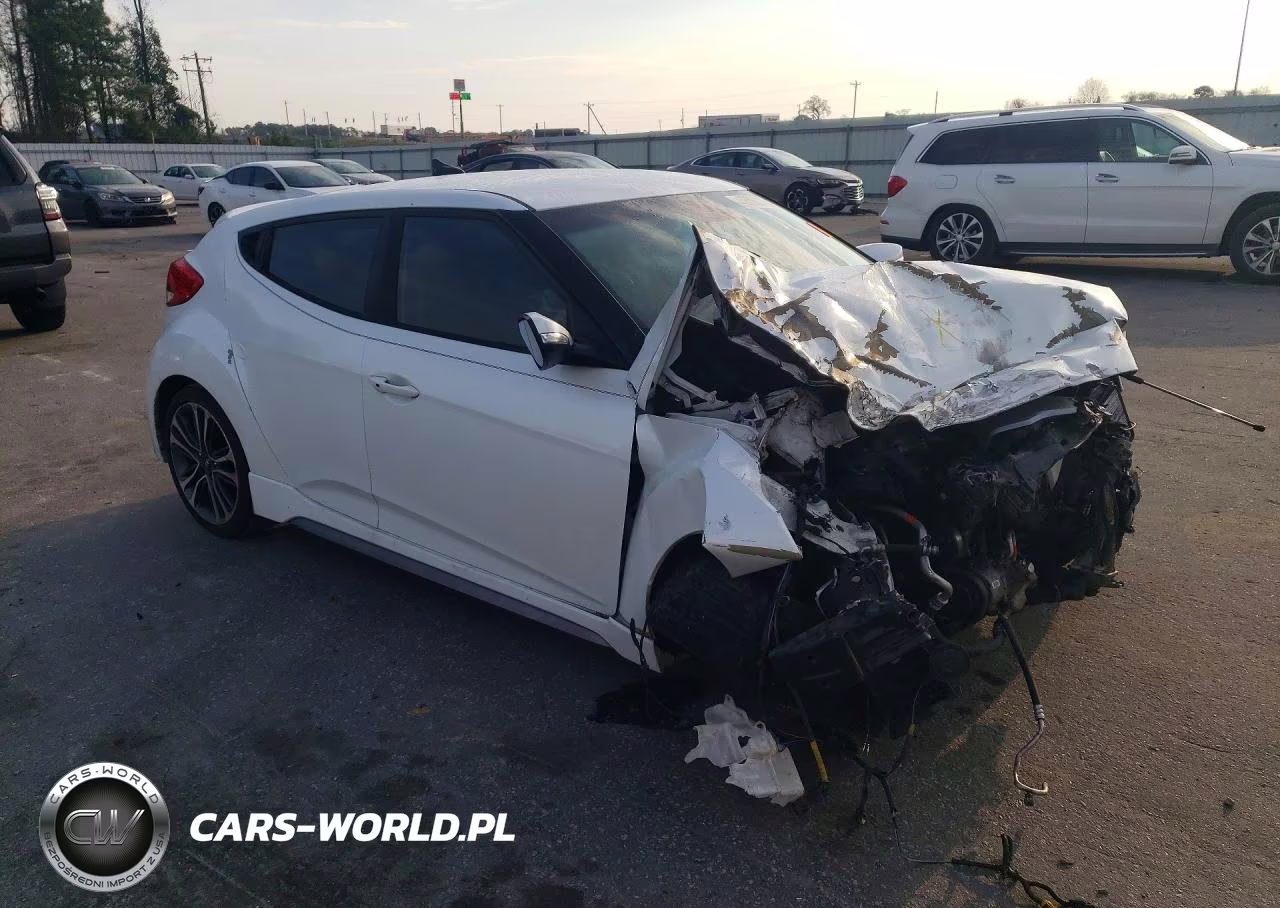 2016 Hyundai Veloster Turbo VIN:KMHTC6AE4GU297421 - 4