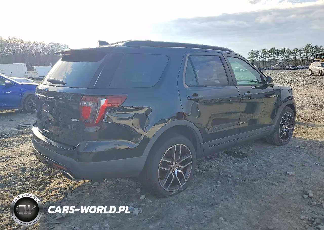 2016 Ford Explorer VIN:1FM5K8GT6GGC63699 - 3